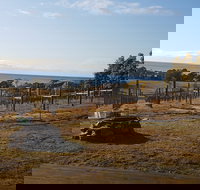 Overtime vineyard - Pet Food Australia