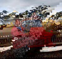 The Shiraz Republic - Pet Food Australia