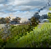 Victory Point Wines - Pet Food Australia