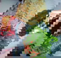 Bistro on Cinders - Pet Food Australia