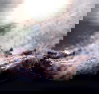 Flame Brothers Restaurant  Bar - Food Delivery Shop