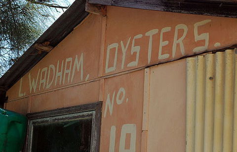 Les Wadham Oysters - Broken Bay Pacific Oysters - Food Delivery Shop 0