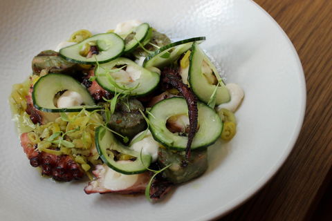 Petition Kitchen - Pet Food Australia 1