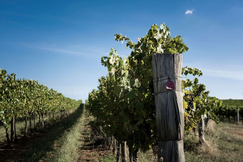 Tamburlaine Organic Wines Millthorpe Cellar Door - Food Delivery Shop 2