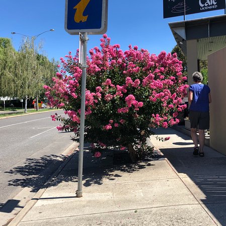 Alpine Gate Cafe - Food Delivery Shop 0