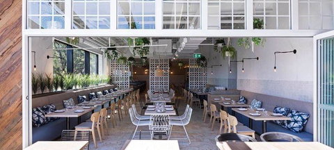 Blue Lake Tandoori Espress - Pet Food Australia 3