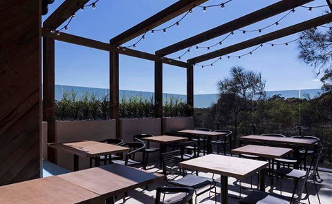 Blue Lake Tandoori Espress - Pet Food Australia 7