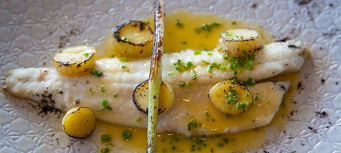 Knee Deep In Margaret River Restaurant - Pet Food Australia 0