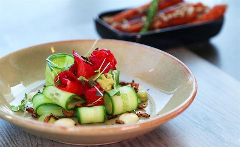 St James Hotel Restaurant - Pet Food Australia 5