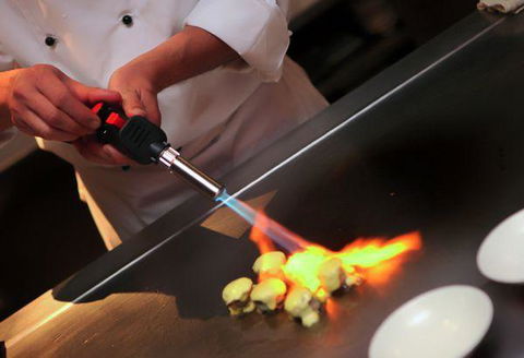 The Rocks Teppanyaki - Pet Food Australia 1