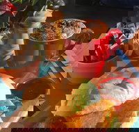 little Billy's - Pet Food Australia