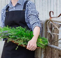 Verdure Bistro - Pet Food Australia
