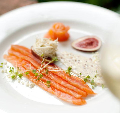 MIKA Airlie Beach - Pet Food Australia 10