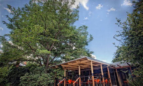 MIKA Airlie Beach - Pet Food Australia 12