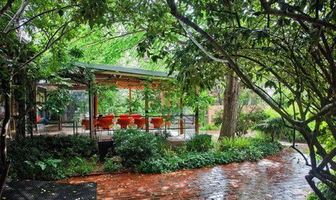 MIKA Airlie Beach - Pet Food Australia 13