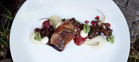 MIKA Airlie Beach - Pet Food Australia 14