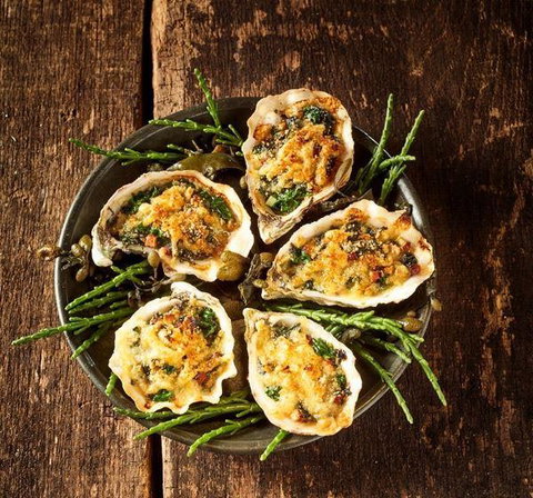 MIKA Airlie Beach - Pet Food Australia 2