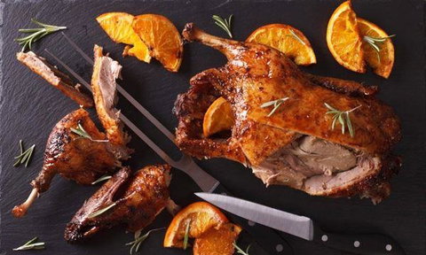 MIKA Airlie Beach - Pet Food Australia 5