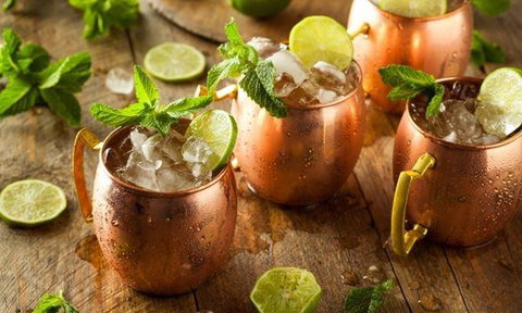 MIKA Airlie Beach - Pet Food Australia 6