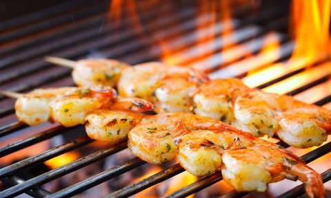 MIKA Airlie Beach - Pet Food Australia 8