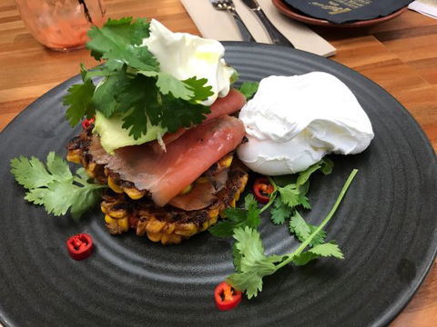 Vivo Cafe - Pet Food Australia 0