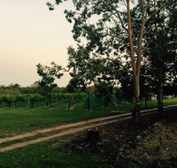 Brierley Wines - Pet Food Australia