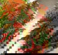 Bua Thong Armidale - Pet Food Australia