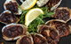 Oyster Bar Darwin - thumb 7