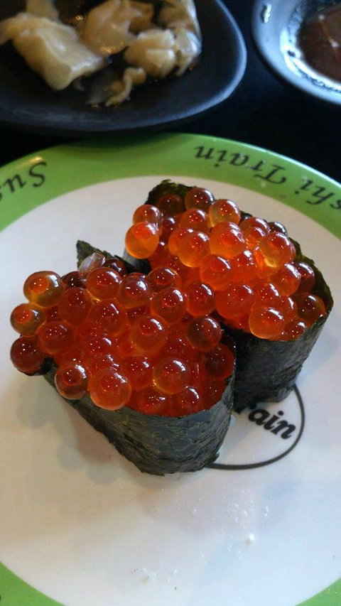 Sushi Zipang - Pet Food Australia 4