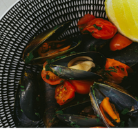 The Italian Diner - Pet Food Australia