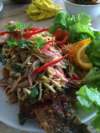 Thai Indeed - Pet Food Australia 0