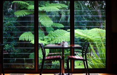 Darwin Ski Club - Pet Food Australia 18