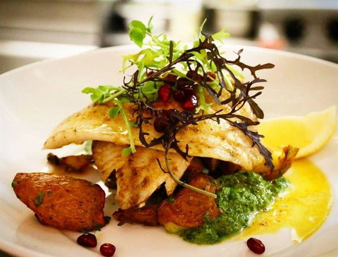 Darwin Ski Club - Pet Food Australia 4