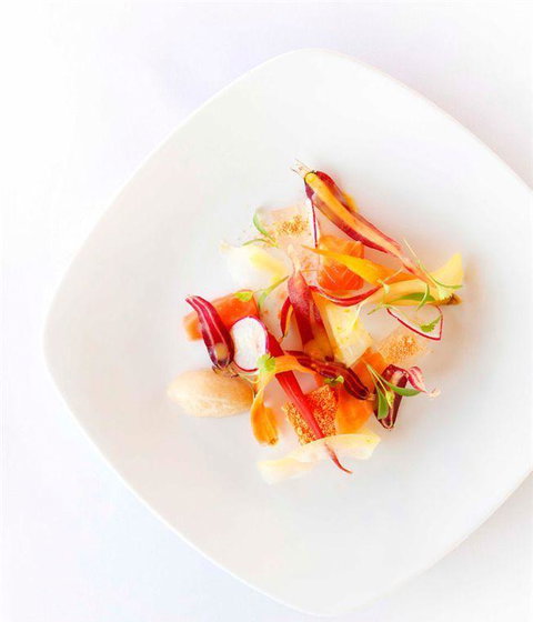 Qualia - Food Delivery Shop 11
