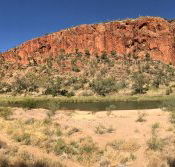 Swiss Chalet - Food Delivery Shop