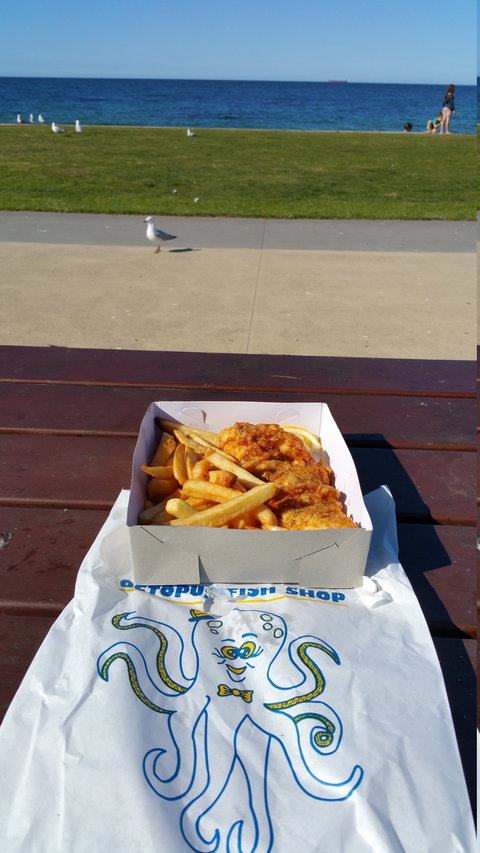 The Octopus Fish Shop - Pet Food Australia 3