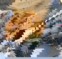 Chef's Catch - Food Delivery Shop