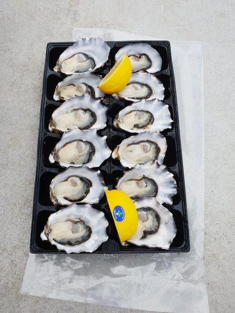 Lease 65 - Food Delivery Shop 5