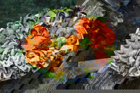 The Lobster Shack Tasmania