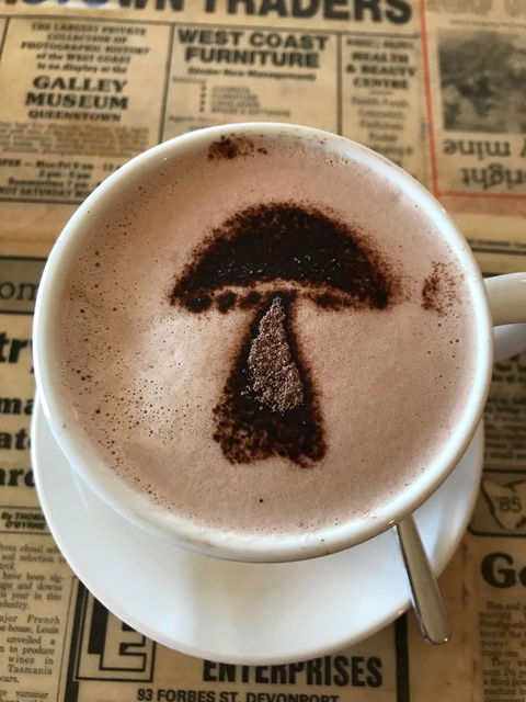 The Mushroom At Waratah - Pet Food Australia 9