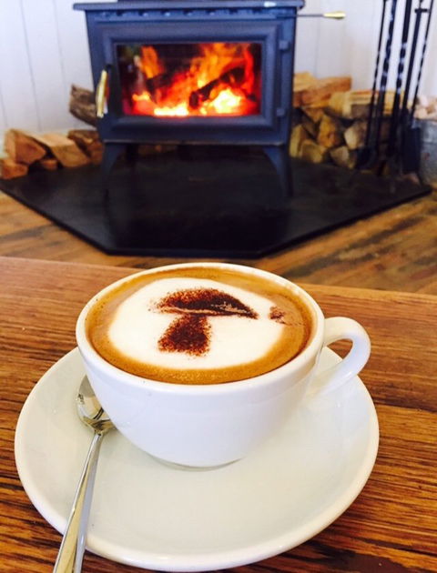 The Mushroom At Waratah - Pet Food Australia 10