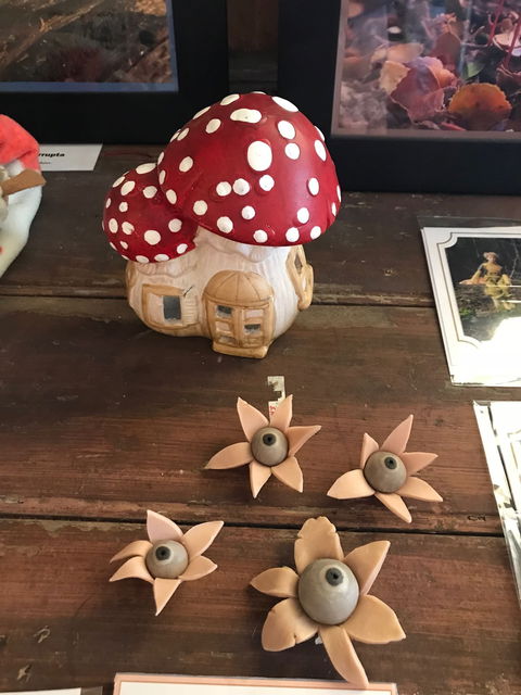 The Mushroom At Waratah - Pet Food Australia 7