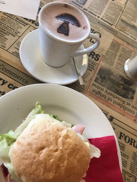 The Mushroom At Waratah - Pet Food Australia 8