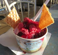 The Pondering Frog - Pet Food Australia