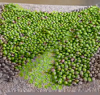 Wattle Hill Olives - Food Delivery Shop