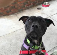 Raymond's Cafe - Food Delivery Shop