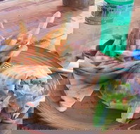 Nando's Ellenbrook - Pet Food Australia