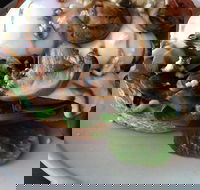 Hedgehogs Cafe - Food Delivery Shop