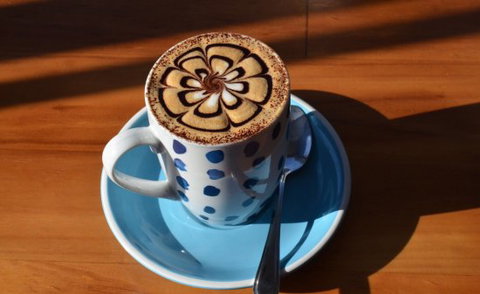 Bayside Barista - Pet Food Australia 0