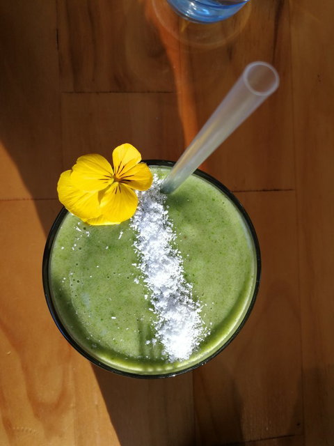 Bayside Barista - Pet Food Australia 1